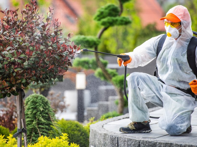 Ödemiş Haşere İlaçlama